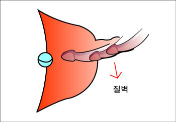 남성 하이테크닉(8) 이미지 #2