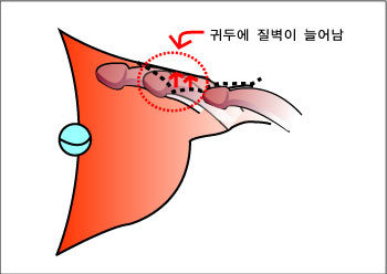 남성 하이테크닉(8) 이미지 #3