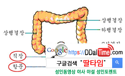 [섹스가이드] 애널섹스가 궁금해?              이미지 #3