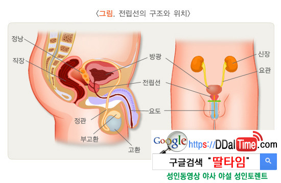 여자필독 * 남자를 KO 시키는 성감대 애무법              이미지 #2